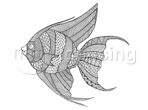 NeetiSeaAngelFish