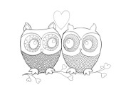 Neeti-Valentine-Owls