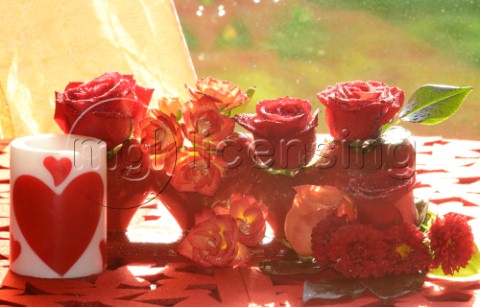 Valentine Red Rosesjpg