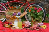 1662-Red Bicycle-Picnic