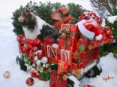 5856-Christmas Presents and Dog in Red Wagon on Snow