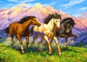 Wild Running Horses