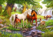 Horses with Foals by the Sream