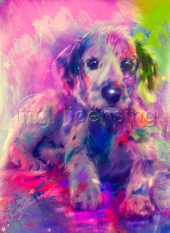 Puppy Surrounded By Colours